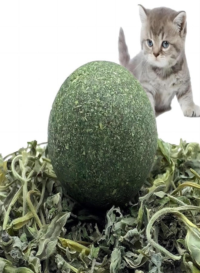 GODFLY كرة النعناع البري الطبيعية من جودفلاي للقطط والقطط الصغيرة - لعبة مضغ صالحة للأكل بنكهة النعناع لتنظيف الأسنان واللعق واللعب - لعبة آمنة وصحية للقطط المنزلية (قطعتان، أخضر) - Image 2